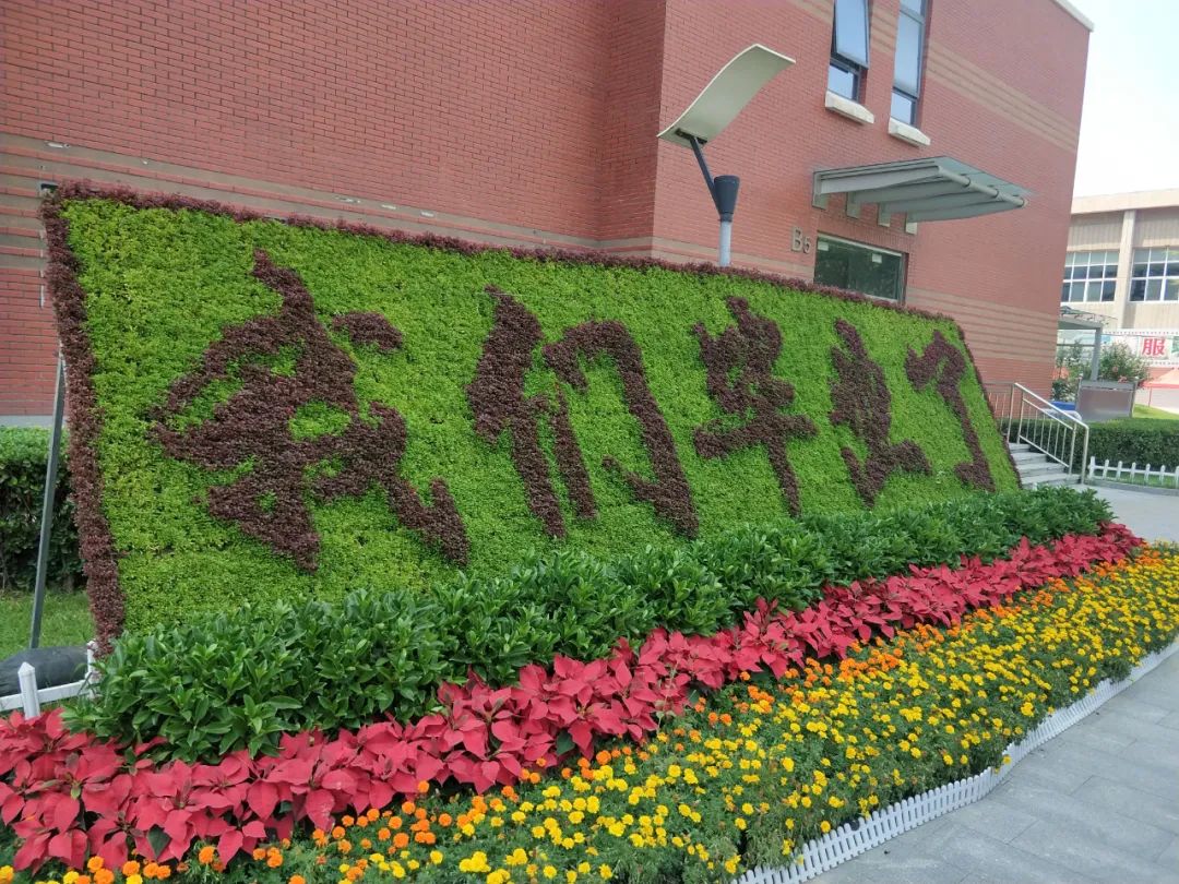 十年法大,终于在这个安静的毕业季告别