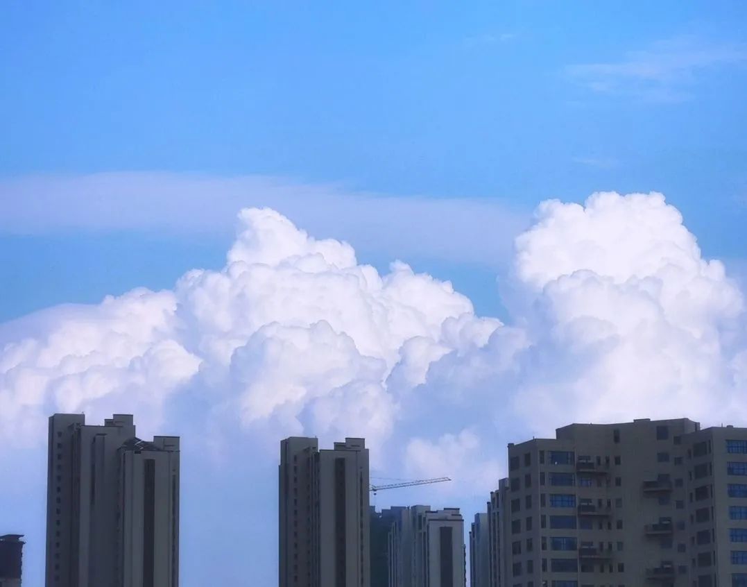 第一辑 | 济大,我想把家乡的“诗情画意”寄给你!