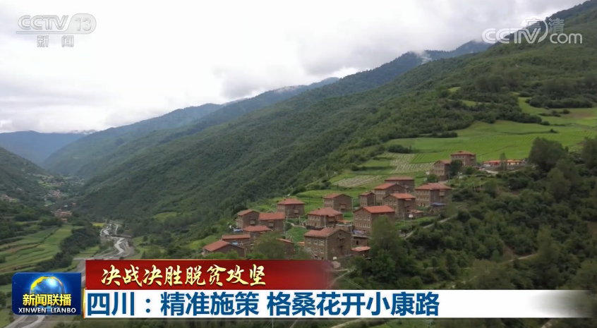 【决战决胜脱贫攻坚】四川:精准施策 格桑花开小康路