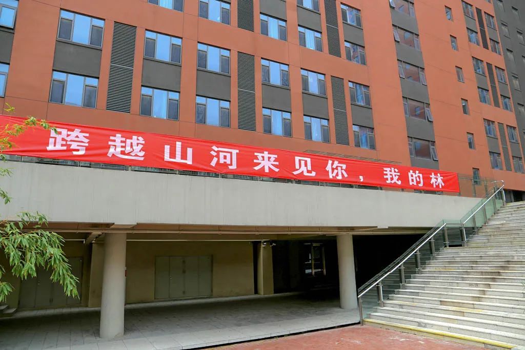 就在今天!北林,我们回来了!