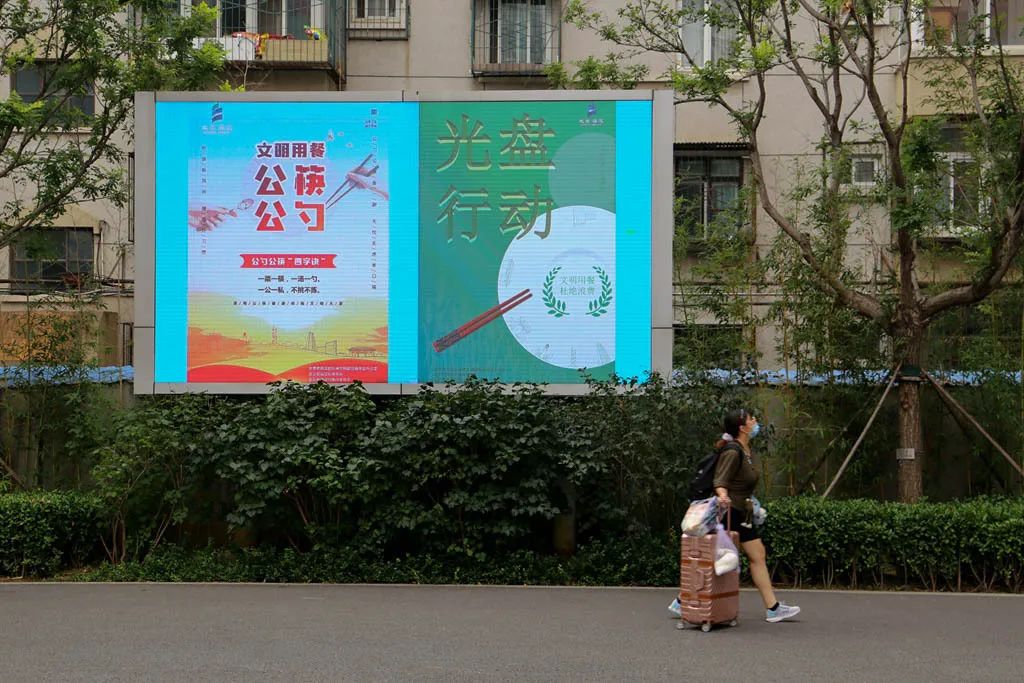 就在今天!北林,我们回来了!