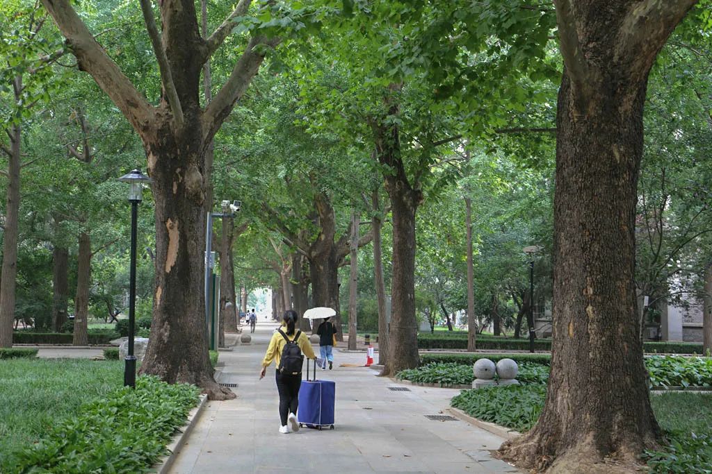 就在今天!北林,我们回来了!