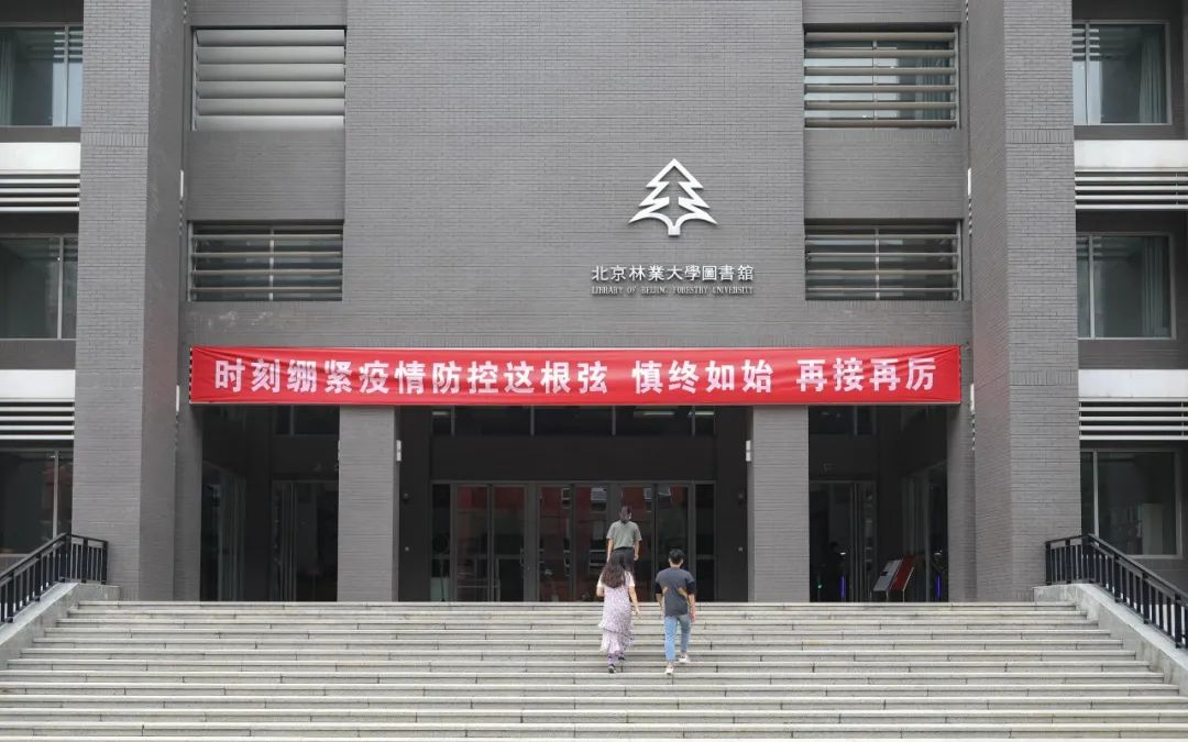就在今天!北林,我们回来了!