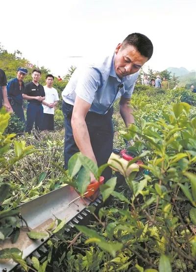 《中国教育报》整版报道!为你们骄傲!