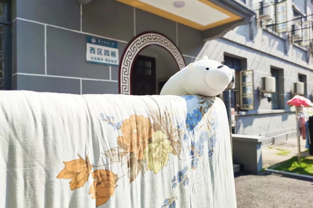 桂子山的“烟火气”回来了!