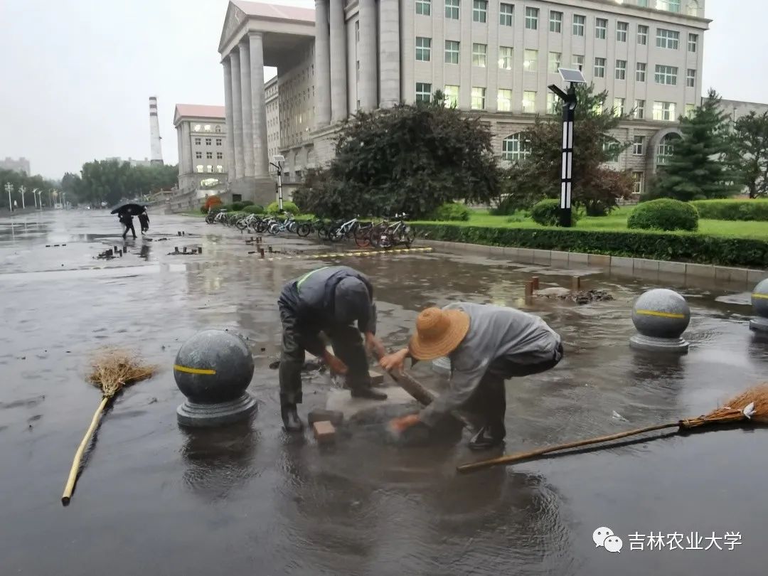 巴威台风转移人口_台风巴威(2)