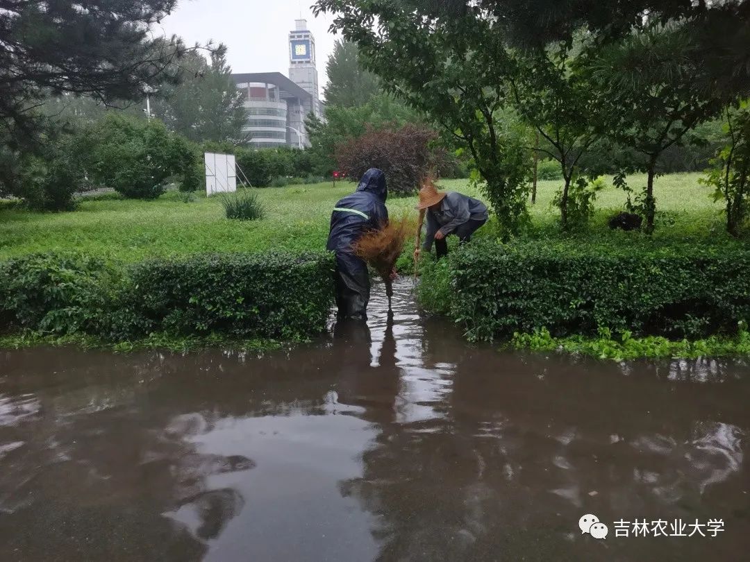 巴威台风转移人口_台风巴威(2)