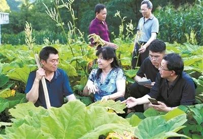 《中国教育报》整版报道!为你们骄傲!