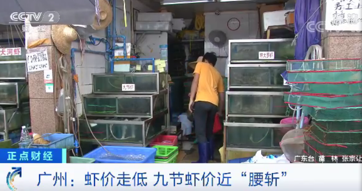 急跌!国产虾价格“对半砍”,这是为虾米呢?