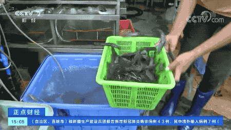 急跌!国产虾价格“对半砍”,这是为虾米呢?