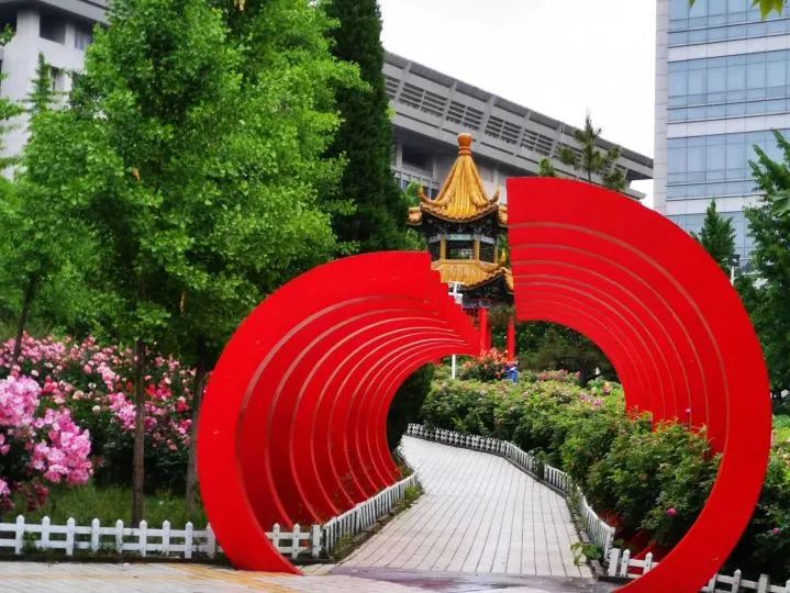 济大,我们回来啦!