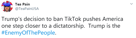 网民:特朗普禁止TikTok的决定是将美国近一步推向独裁统治。特朗普是“人民的敌人”。