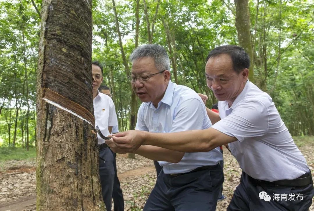 沈晓明在白沙调研时强调 努力实现生态环境保护和经济社会发展有机统一