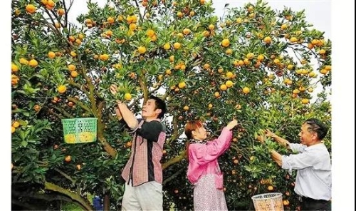 “两山”之路15年(七) | 黄岩: 节约用地与“永宁江时代”同行