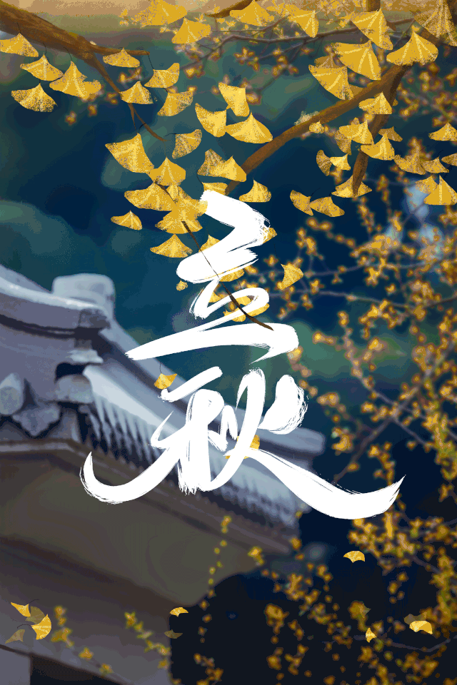 立秋 | 愿你的努力 终有收获