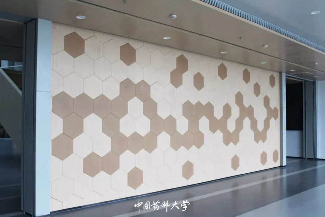 2020新生开学攻略(一)|巍巍药大,与你初见