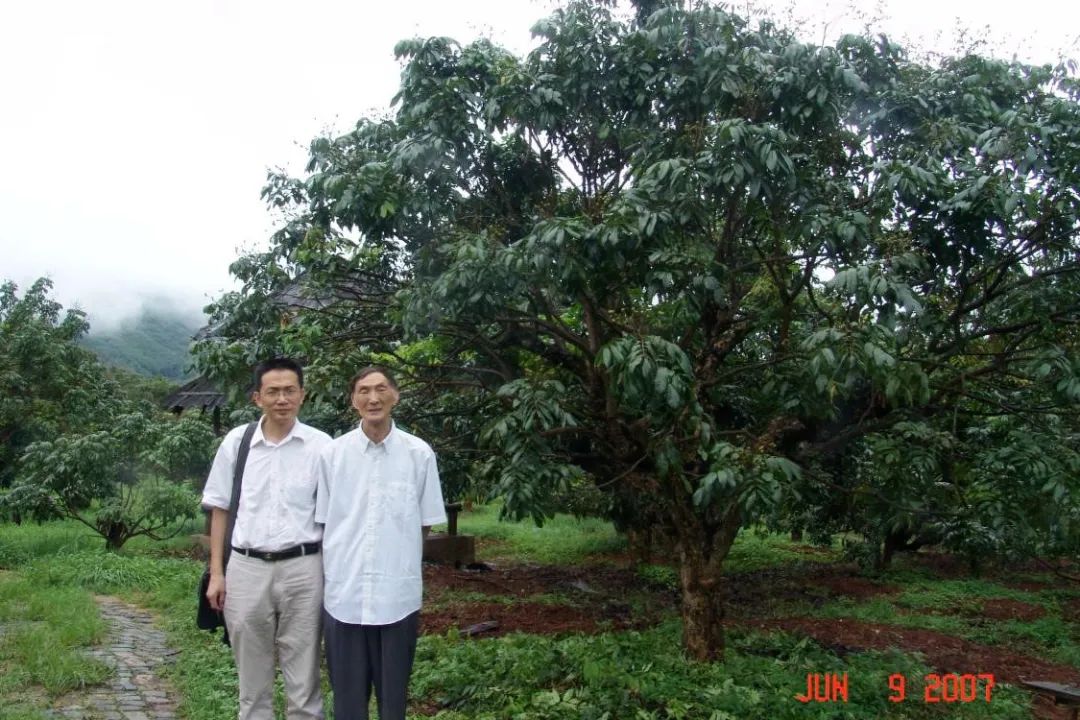 12年育“巨美人”,让“冻龄”佳果漂洋过海!