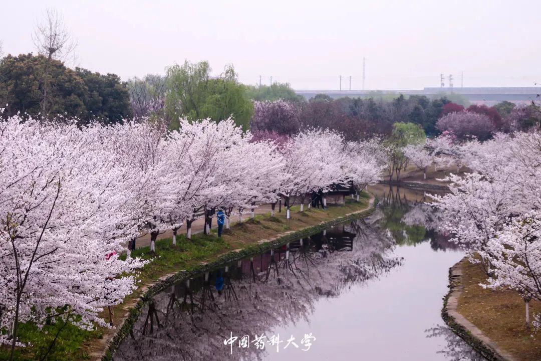 2020新生开学攻略(一)|巍巍药大,与你初见