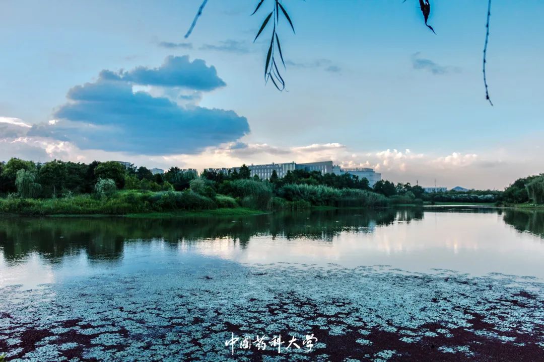 2020新生开学攻略(一)|巍巍药大,与你初见
