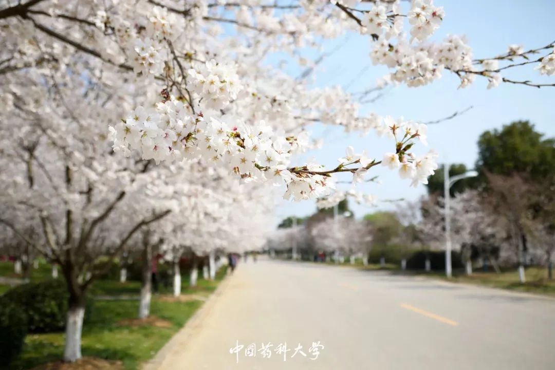 2020新生开学攻略(一)|巍巍药大,与你初见