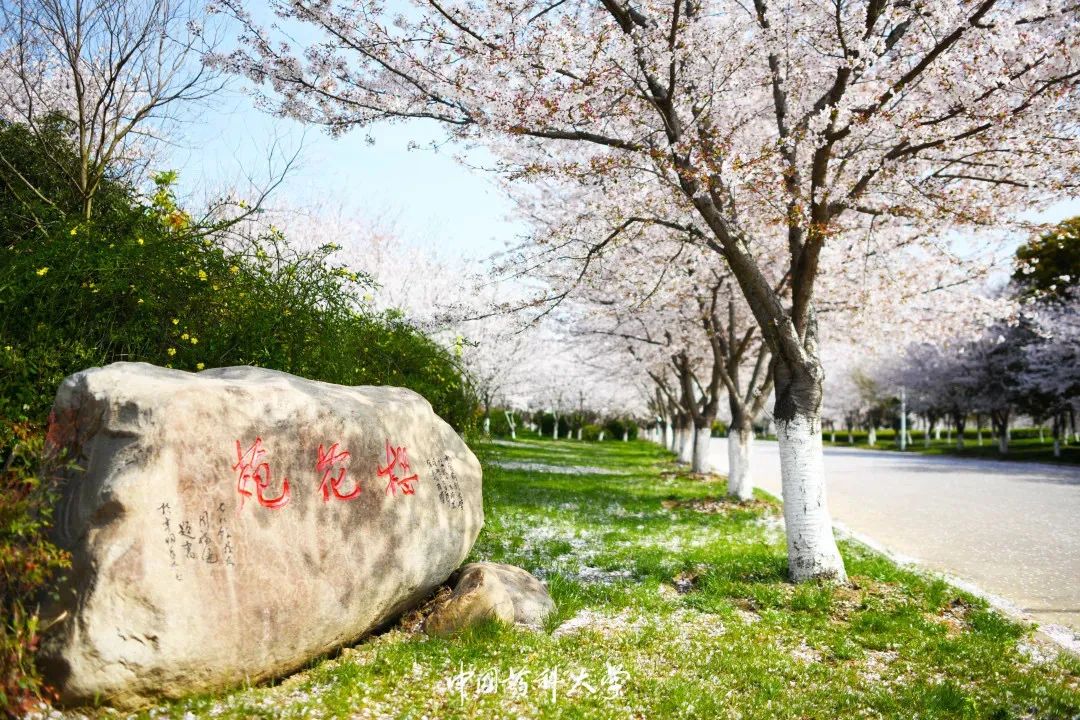 2020新生开学攻略(一)|巍巍药大,与你初见