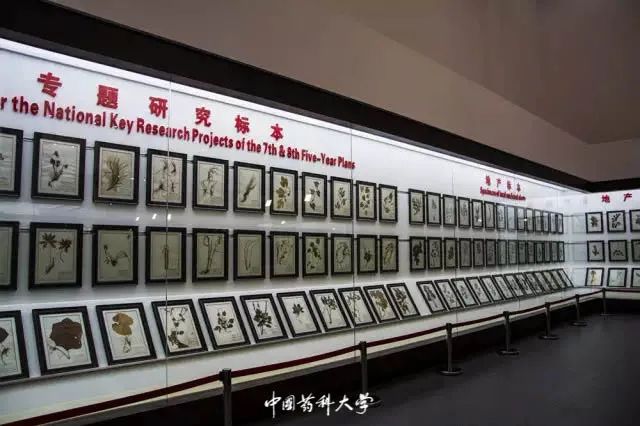 2020新生开学攻略(一)|巍巍药大,与你初见