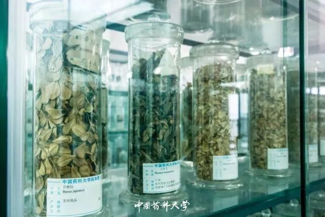 2020新生开学攻略(一)|巍巍药大,与你初见