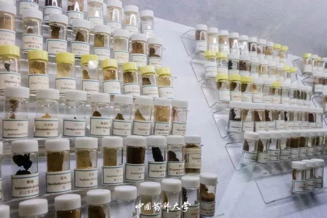 2020新生开学攻略(一)|巍巍药大,与你初见
