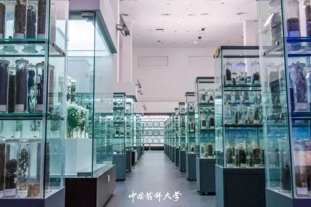 2020新生开学攻略(一)|巍巍药大,与你初见