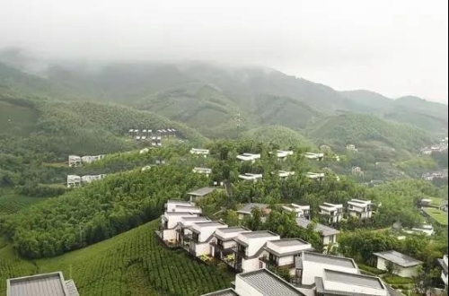 山海金(四)|上海老文青浙江山野诗意栖居,引来大波俊男靓女打卡