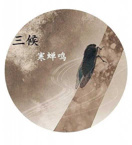 立秋 | 兜兜转转又到秋,你准备好了吗?