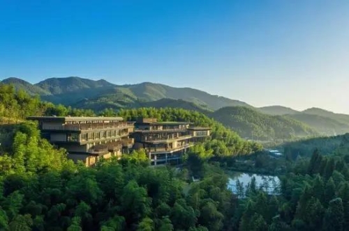 山海金(四)|上海老文青浙江山野诗意栖居,引来大波俊男靓女打卡