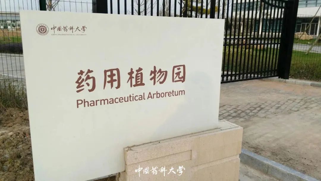2020新生开学攻略(一)|巍巍药大,与你初见