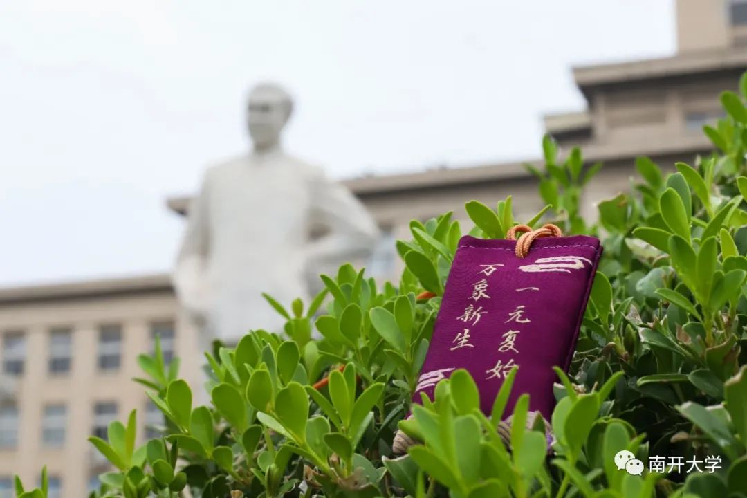 建言“十四五”,共绘新蓝图!南开大学邀你提建议啦!
