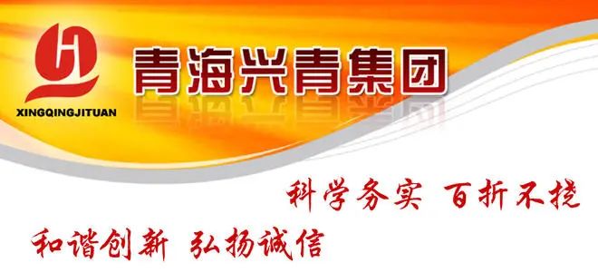 ·兴青团体官网展示的团体精力。