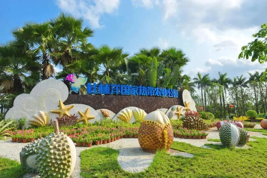 暑假去哪玩?海口特价机票+学生优惠套餐等你来