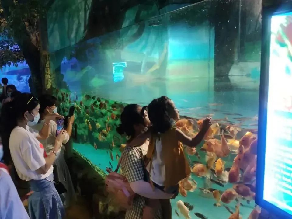 暑假去哪玩?海口特价机票+学生优惠套餐等你来