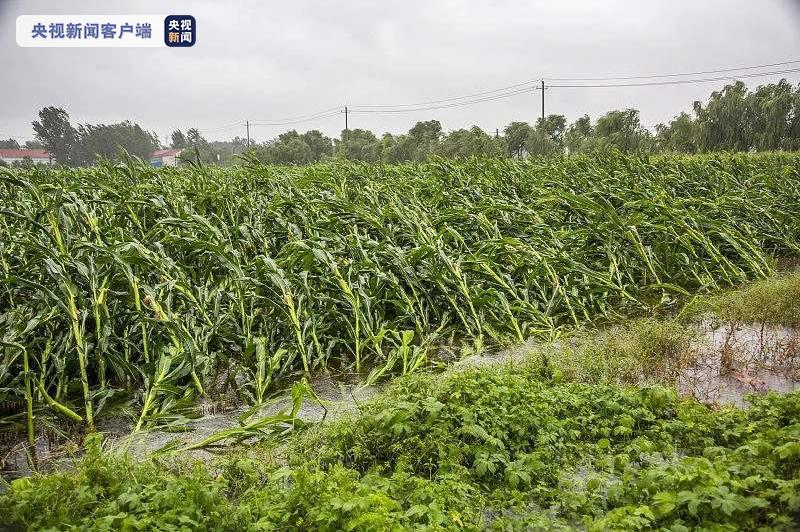 黑龙江省全面部署台风灾后防灾减灾救灾工作