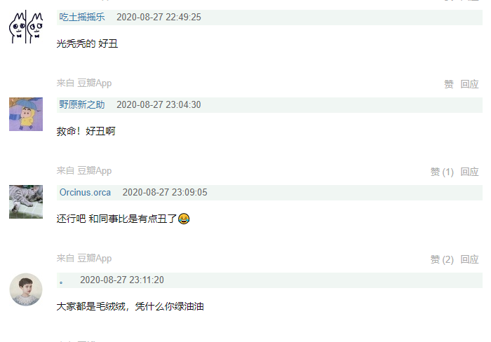 网友们对于”达菲家族“新成员小海龟的讨论