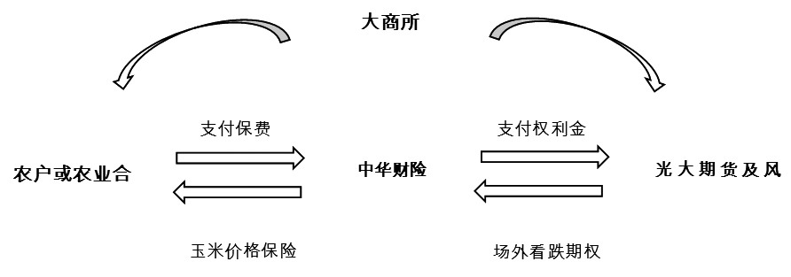 玉米“保险+期货”为“农民收入保障计划”添彩