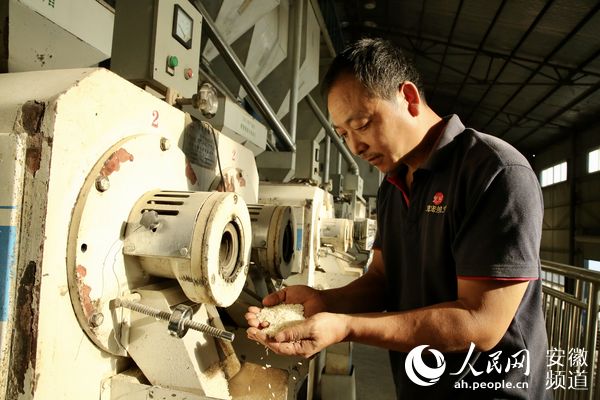 滁州金弘安米业有限公司的生产车间内，检验员正在检查稻米质量。陶涛摄