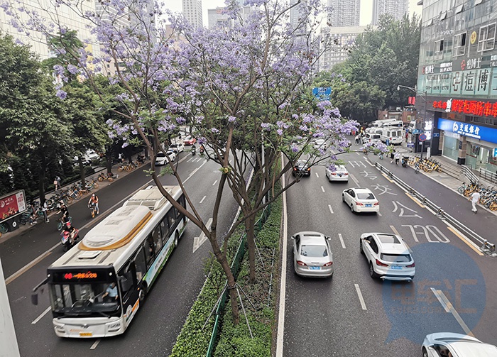 北京累计推广纯电动车逾35万辆 将继续优化交通结构