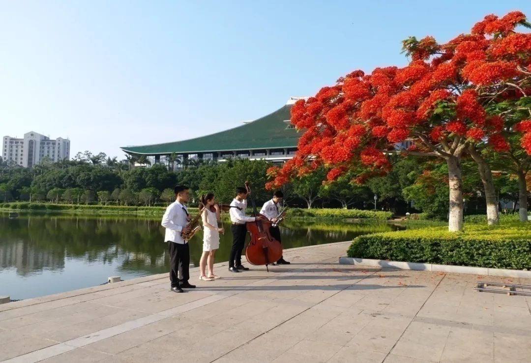 凰 凤△业开毕花季。