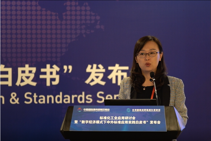 中国对外承包工程商会秘书长张湘