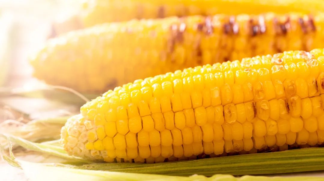 辽宁今日玉米最新价格表 e7d0-izeysaz8191208.jpg
