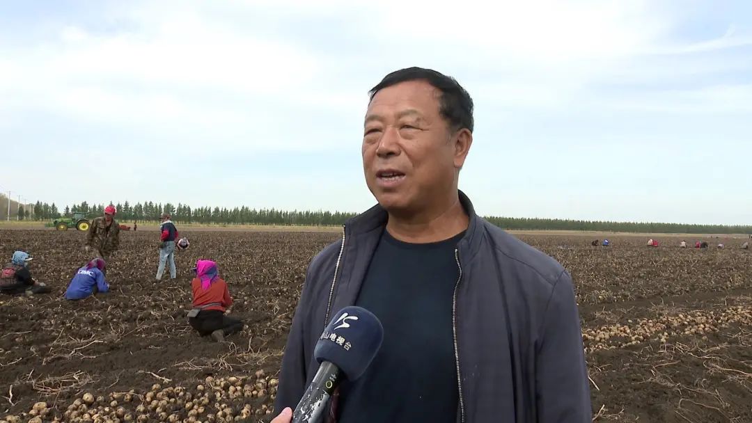 黑龙江经济作物总量_黑龙江地图