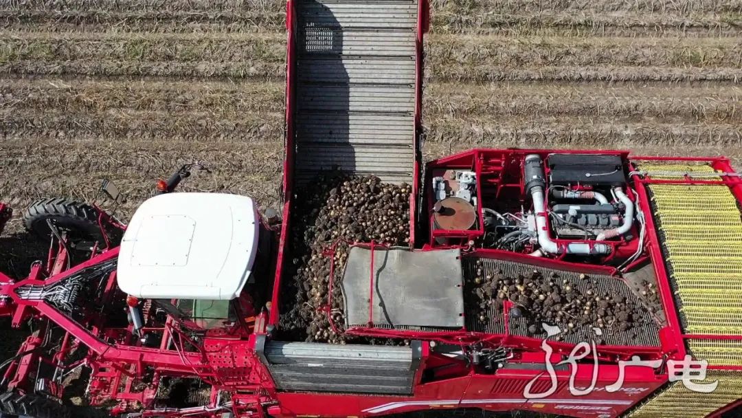 黑龙江经济作物总量_黑龙江地图