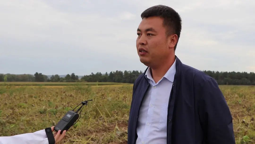 黑龙江经济作物总量_黑龙江地图(3)