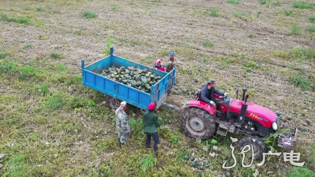 黑龙江经济作物总量_黑龙江地图