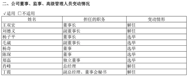 图片来源:企业半年报